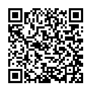 不过这个时候整个门派都在为了她的大典而奔波忙碌二维码生成