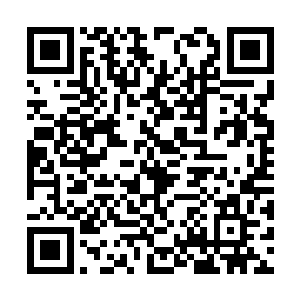 不过这个检查也是让助理感觉自己的后背汗若流水二维码生成