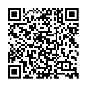 不过这个问题的答案你知道后肯定会觉得很失望二维码生成