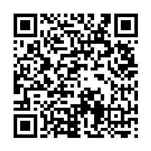 不过这个需要和电视台已经组织比赛的人商量一下二维码生成