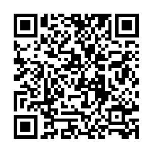 不过这也是笑笑老祖说人族可能不是孤军作战的原因二维码生成