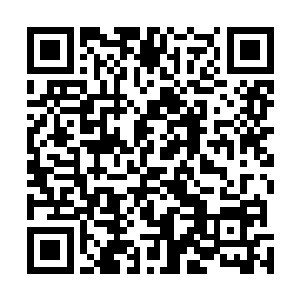 不过这乡下转上两圈最多让胡三婶帮着打听一下不就有了二维码生成