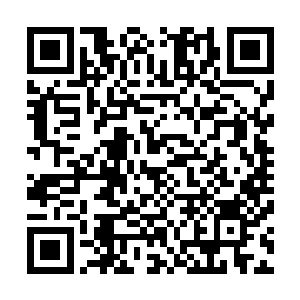 不过这些人身上的气势显然要比下面的那些人要强大了不少二维码生成