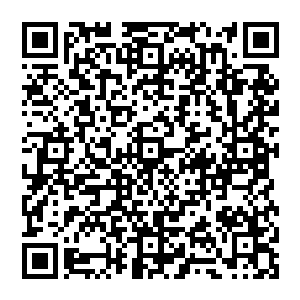 不过这些鱼居然没有一条呆的住的只要从空间里放出来一个晚上过去之后一准儿跑的没有几条二维码生成