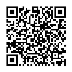 不过这几日云横山四周的仙灵之气波动明显有些异常二维码生成