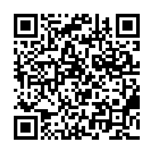 不过这家伙可不仅仅是因为这些兔子顺利入栏而高兴二维码生成