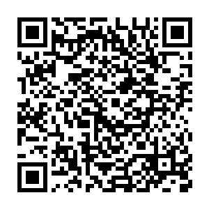 不过这对于在新西兰养精蓄锐了五个月的珍妮来说还不是什么负担二维码生成