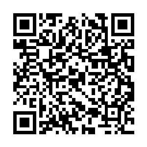 不过这小东西怎么到了岛上也不是贝海关心的问题二维码生成