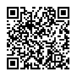 不过这并不妨碍他偷偷混在其他人里伸出了自己的盘子二维码生成