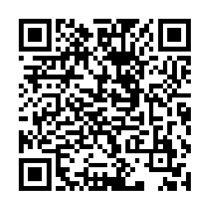 不过这时候白奇雪也看到了小秋和雅文挽在一起的手二维码生成