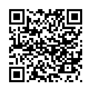 不过这松鼠虽然现在的能力不突出二维码生成