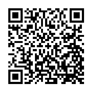 不过这样一来龙傲天以后在战斗中就不会那么容易就消耗过度了二维码生成