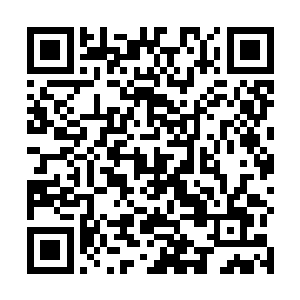 不过这样她倒也对风天翔是女儿男朋友的事深信不疑了二维码生成