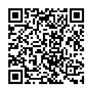 不过这次却能意外结识吴道友这等天赋奇高的阵法师二维码生成