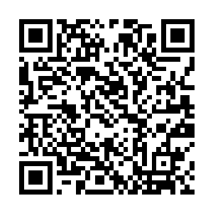 不过这次变身大概因为还没到真正能变身的时期的缘故二维码生成
