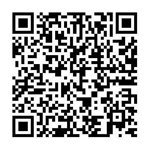 不过这次在绝空神尊的收藏中龙傲天竟然意外找到了三十六颗天雷猪二维码生成