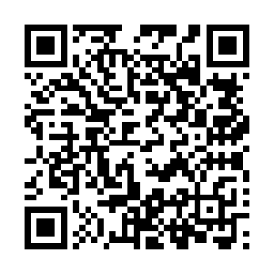 不过这次大赛给提供的草药都是和这一颗下品鬼魂珠搭配的二维码生成