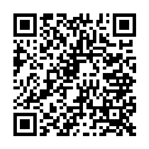 不过这次守护一族显然是想要让自己的人脱胎换骨二维码生成