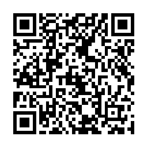 不过这次既然有机会与传说中战无不胜的韩国战队较量二维码生成