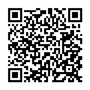 不过这次有了天灵造化丹之后龙傲天基本上不用担心这个问题了二维码生成