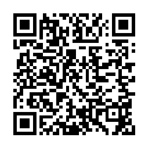 不过这次洪涛真不是故意用精神武器折磨顾洪德二维码生成