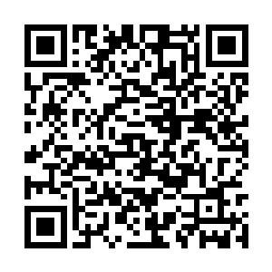 不过这次的袭击事件明显给他们造成的冲击太大了二维码生成