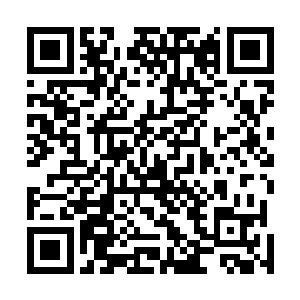 不过这片虚空宇宙之中不断从徐天涯身边飞过一道道白光二维码生成