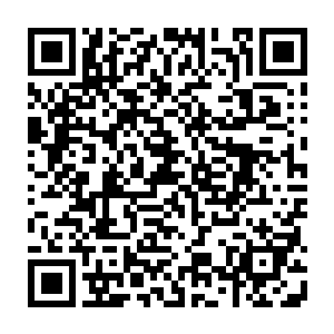 不过这种感觉在不小心撇到龙战手上那些白色的汁液后立刻就不翼而飞了二维码生成