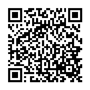 不过这种能够将自己全属性值和金手指带入剧情世界的条件是二维码生成