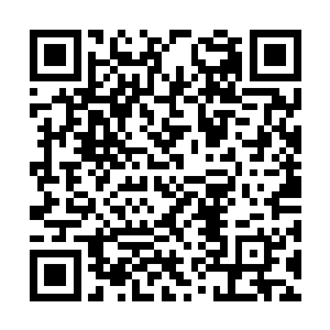 不过这类宝物我问过其他的仙家和几个情报分析官二维码生成