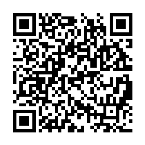 不过这里面可能也就橘杏子知晓的并不是那么的多二维码生成