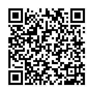 不过这里面还是要支付20000的积分给划到大眼师兄的账上的二维码生成