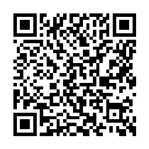 不过这院子和岚家的府邸相比简直是小巫见大巫二维码生成