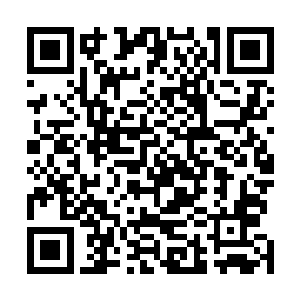 不过这黄金蟒蛇也是乘着白子河防御的时候直接一个转身二维码生成