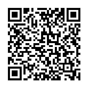 不过通过聊天凌菲也知道了些她走了以后凌雅的生活二维码生成