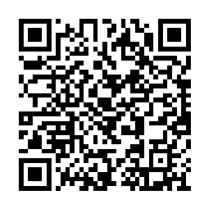 不过道则是唐劫自己冒着九死一生的风险抢来的二维码生成