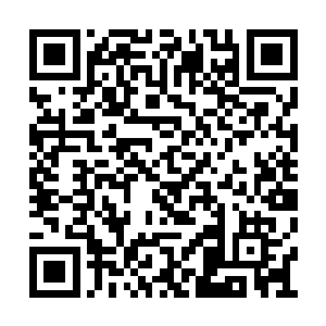 不过那一次在假山后面听到洛瑞棋和绿裳的谈话二维码生成