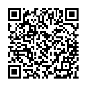 不过那丝血仔细打量才发现鲜红中带着点点金芒二维码生成