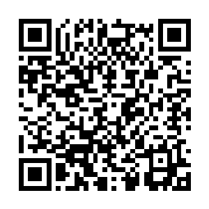 不过那个时候的夏侯家都还没有联想到苗毅头上去二维码生成