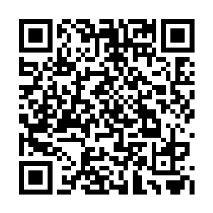 不过那个时候的张琴还是个心高气傲的城里姑娘二维码生成