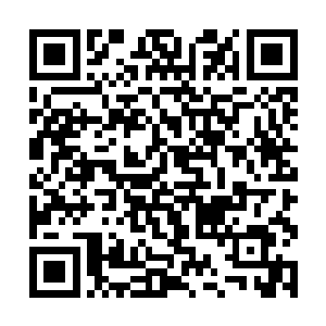 不过那个用导弹射落直升机的武装分子被我们击毙了二维码生成