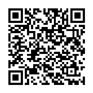 不过那个破口看起来就像是有人用手撕开拽开的啊二维码生成