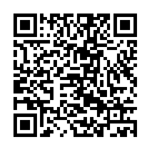 不过那伽总坛也只不过是在为了我个人而服务罢了二维码生成