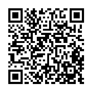 不过那原本出现在林辰视线当中的两名黑衣人却是一个闪身二维码生成