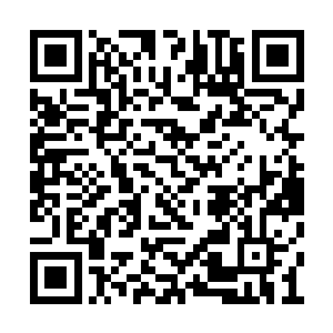 不过那名仙人呵斥之后仙人们竟是立即就消停的二维码生成