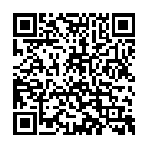 不过那张小花也几乎是从小和林母一起斗到大的二维码生成