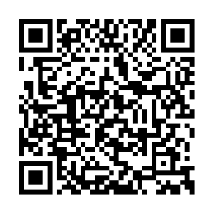 不过那斥力却控制在了鸿蒙鼎能够压制的范围内二维码生成