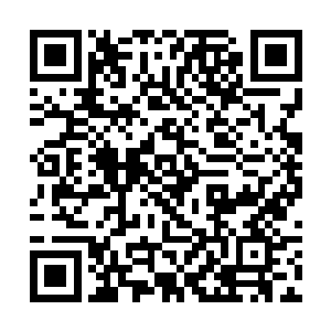 不过那满脸笑意的脸上却有着一股可怕的冷意在蔓延二维码生成