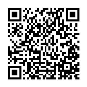 不过那眼神却明白无误的告诉了两个小丫头答案――就算要动二维码生成