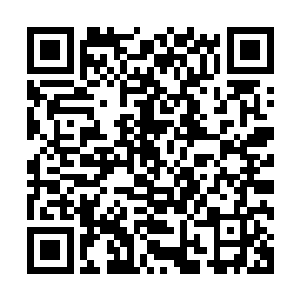 不过那纯粹就是踩着她这个金牌女配给男主女主秀恩爱的场所二维码生成